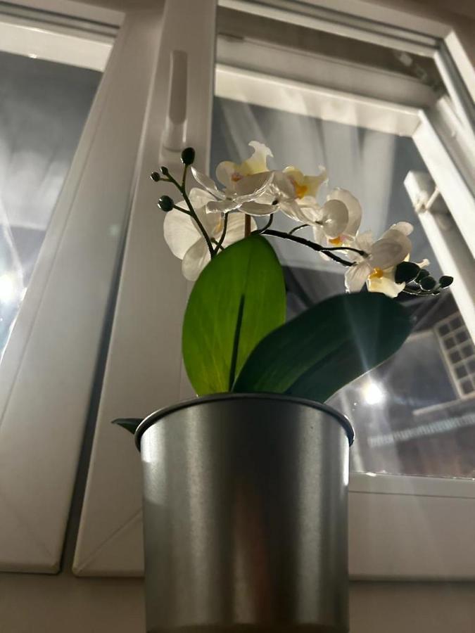 Lvm Apartments Zagreb Dış mekan fotoğraf